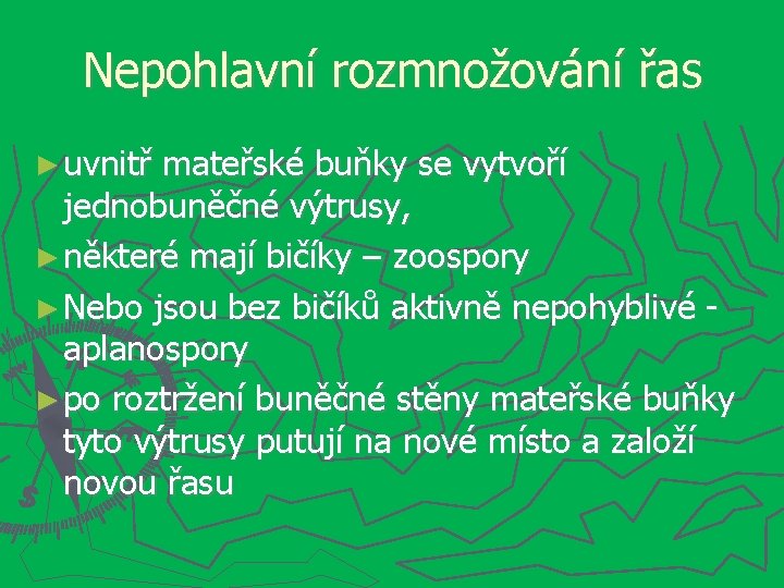 Nepohlavní rozmnožování řas ► uvnitř mateřské buňky se vytvoří jednobuněčné výtrusy, ► některé mají