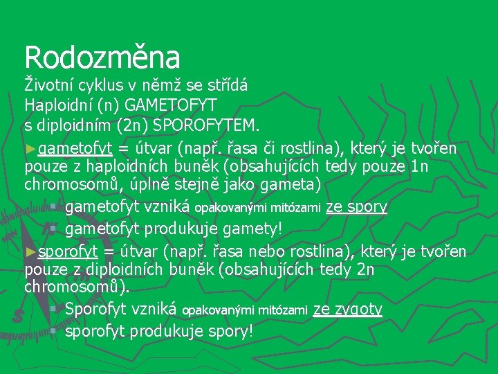 Rodozměna Životní cyklus v němž se střídá Haploidní (n) GAMETOFYT s diploidním (2 n)