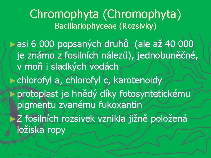 Chromophyta (Chromophyta) Bacillariophyceae (Rozsivky) ► asi 6 000 popsaných druhů (ale až 40 000