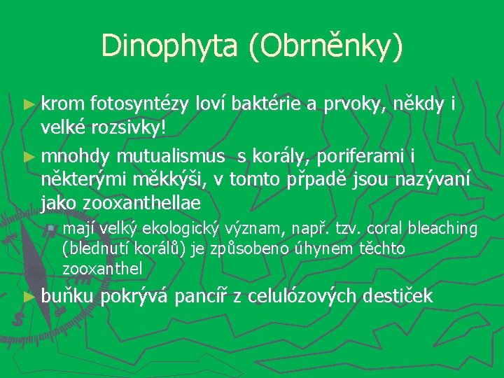 Dinophyta (Obrněnky) ► krom fotosyntézy loví baktérie a prvoky, někdy i velké rozsivky! ►