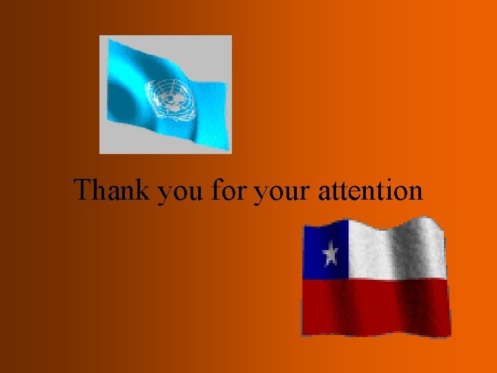 Thank you for your attention 