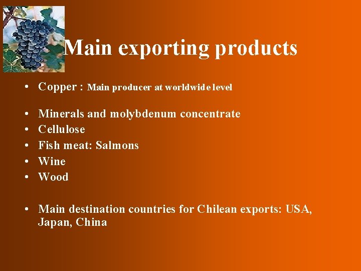 Main exporting products • Copper : Main producer at worldwide level • • •