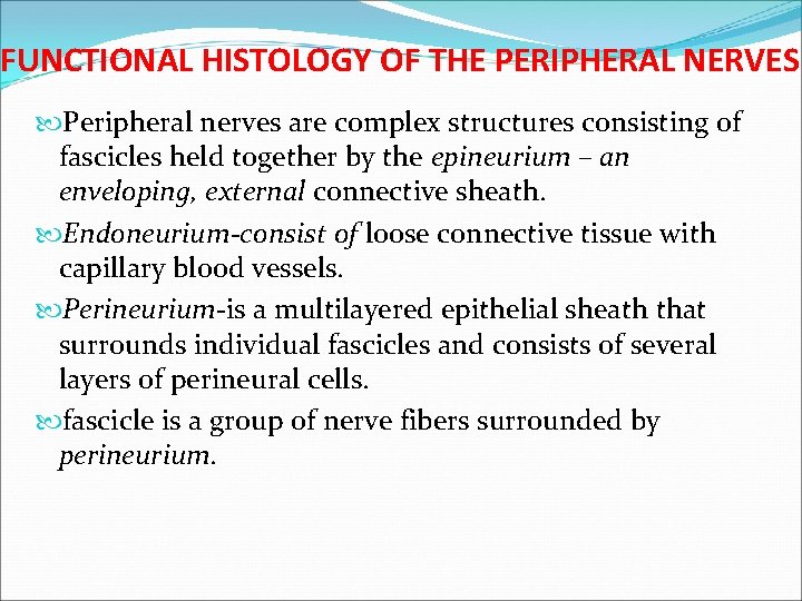 FUNCTIONAL HISTOLOGY OF THE PERIPHERAL NERVES Peripheral nerves are complex structures consisting of fascicles