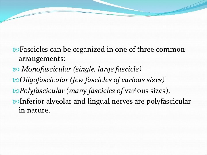  Fascicles can be organized in one of three common arrangements: Monofascicular (single, large