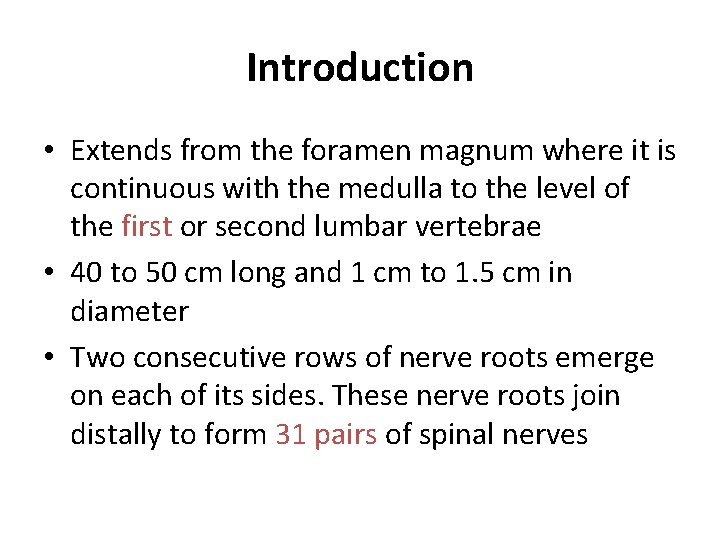 Introduction • Extends from the foramen magnum where it is continuous with the medulla