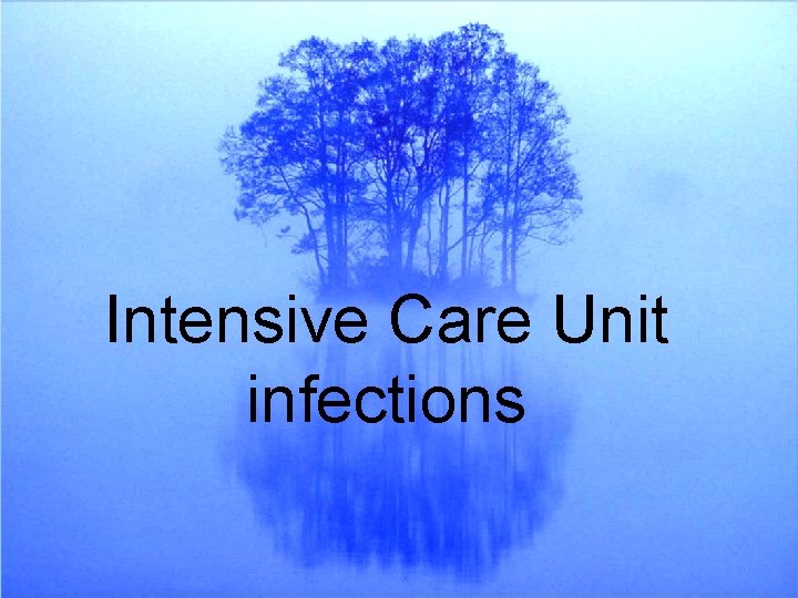 Intensive Care Unit infections 