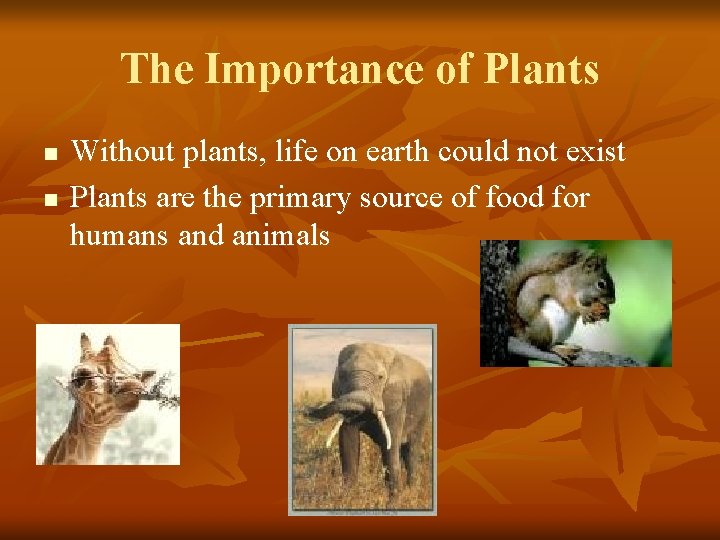 The Importance of Plants n n Without plants, life on earth could not exist