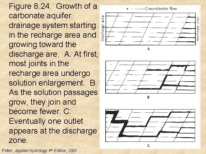 Figure 8. 24. Growth of a carbonate aquifer drainage system starting in the recharge