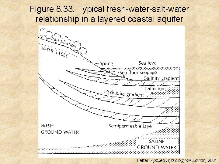 Figure 8. 33. Typical fresh-water-salt-water relationship in a layered coastal aquifer Fetter, Applied Hydrology