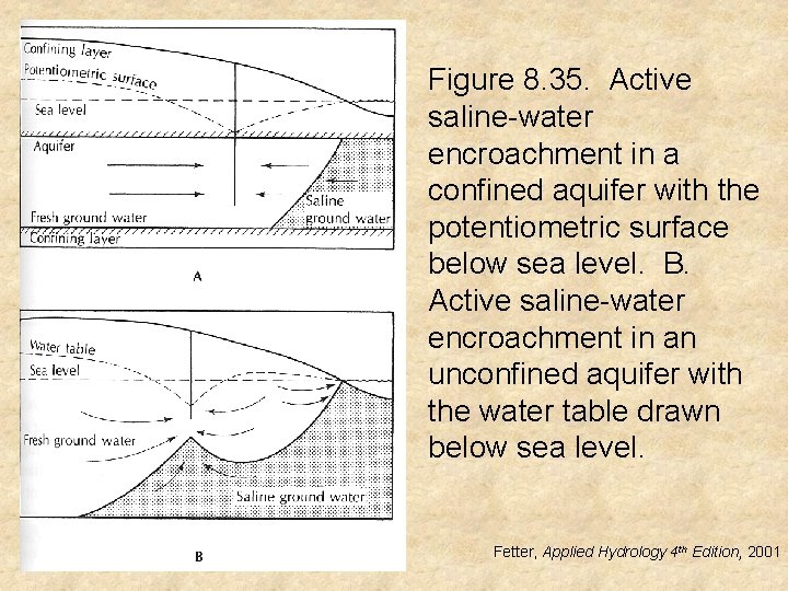 Figure 8. 35. Active saline-water encroachment in a confined aquifer with the potentiometric surface