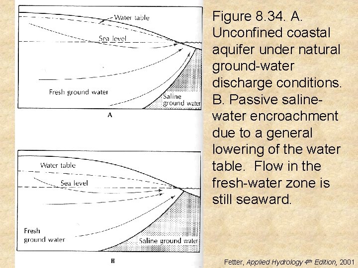 Figure 8. 34. A. Unconfined coastal aquifer under natural ground-water discharge conditions. B. Passive