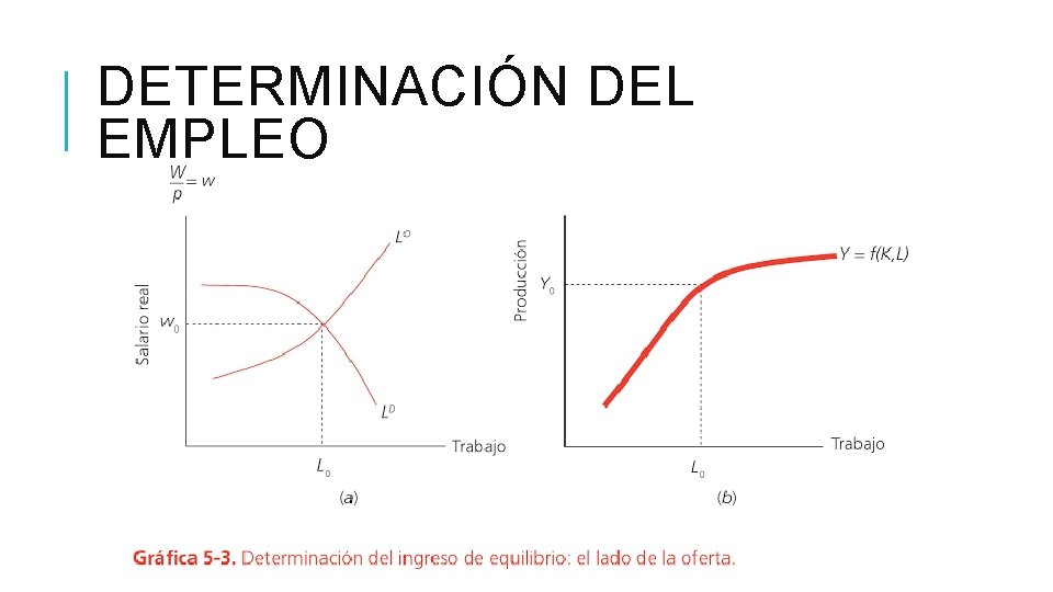 DETERMINACIÓN DEL EMPLEO DETERMINACIÓN DEL EMPLEO
