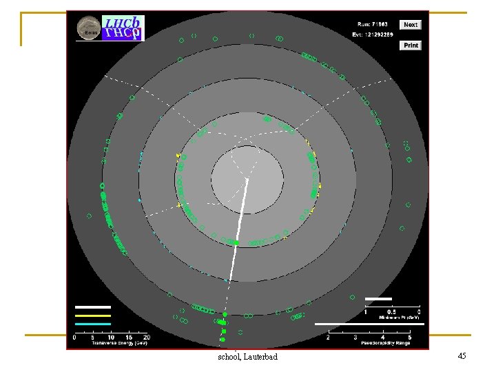 Ronan Mc. Nulty 2010 CTEQ-MCNet school, Lauterbad 45 