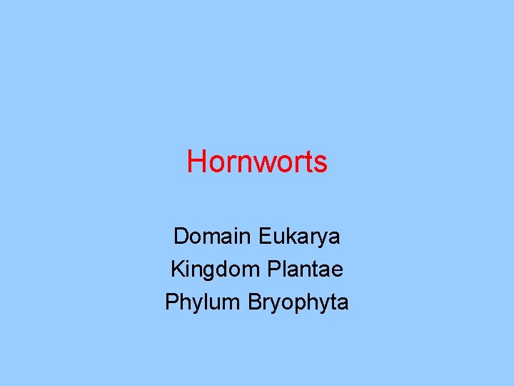 Hornworts Domain Eukarya Kingdom Plantae Phylum Bryophyta 