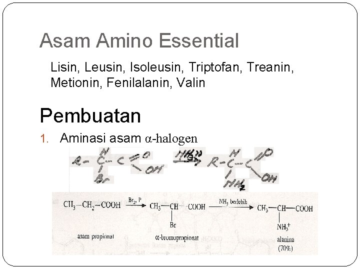 Asam Amino Essential Lisin, Leusin, Isoleusin, Triptofan, Treanin, Metionin, Fenilalanin, Valin Pembuatan 1. Aminasi