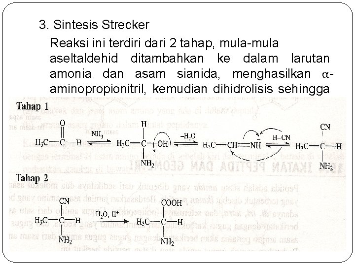 3. Sintesis Strecker Reaksi ini terdiri dari 2 tahap, mula-mula aseltaldehid ditambahkan ke dalam