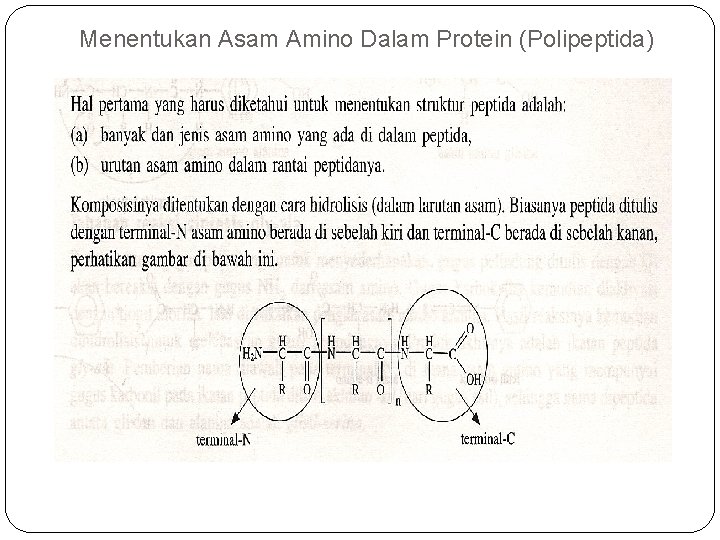Menentukan Asam Amino Dalam Protein (Polipeptida) 