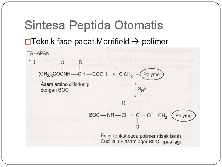Sintesa Peptida Otomatis �Teknik fase padat Merrifield polimer 