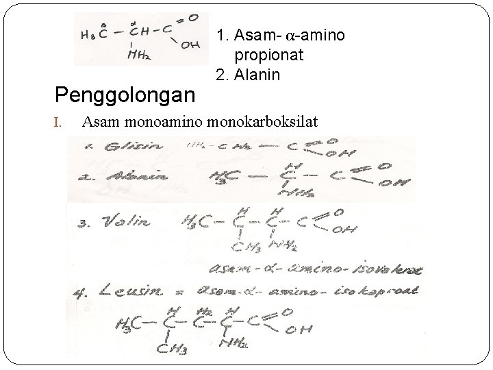 Penggolongan I. 1. Asam- α-amino propionat 2. Alanin Asam monoamino monokarboksilat 