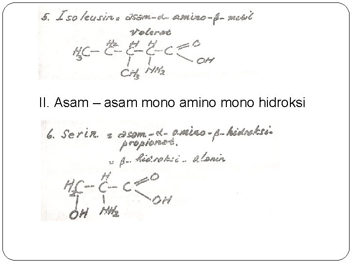 II. Asam – asam mono amino mono hidroksi 