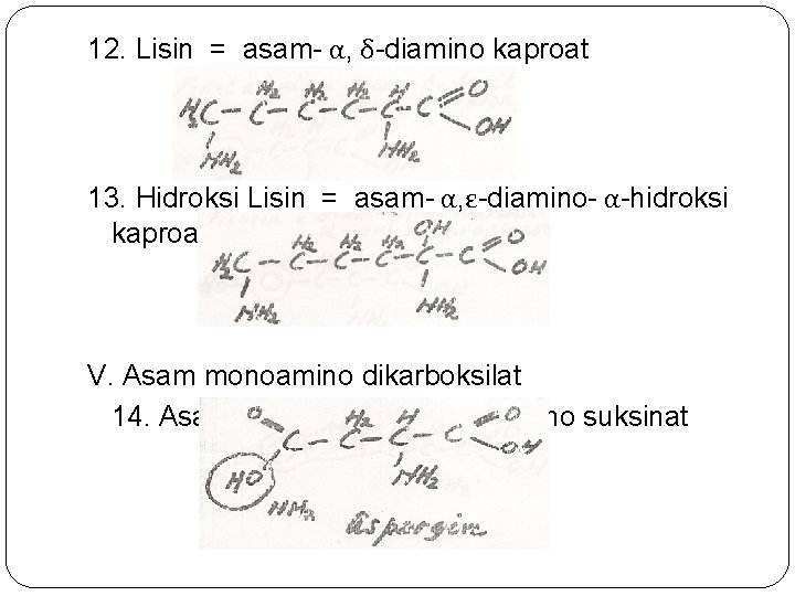 12. Lisin = asam- α, δ-diamino kaproat 13. Hidroksi Lisin = asam- α, ε-diamino-