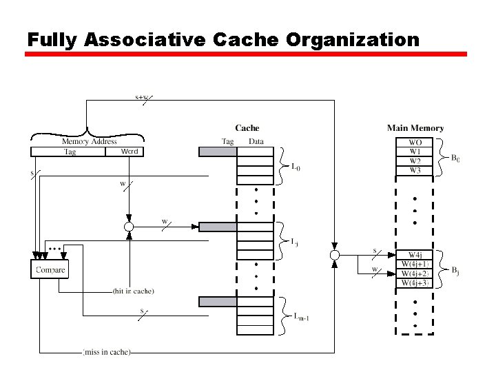 Fully Associative Cache Organization 