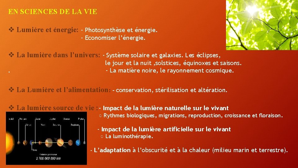 EN SCIENCES DE LA VIE v Lumière et énergie: - Photosynthèse et énergie. -