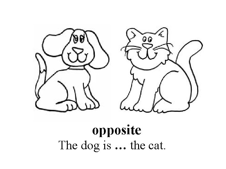 opposite The dog is … the cat. 