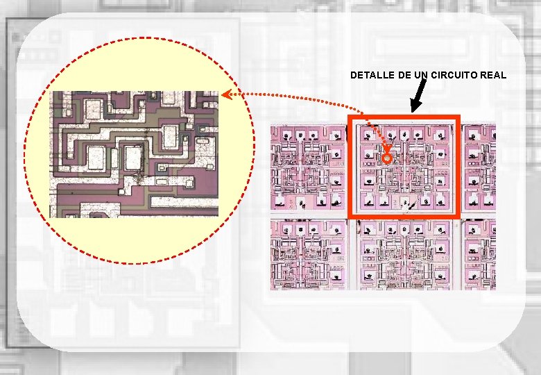 DETALLE DE UN CIRCUITO REAL 