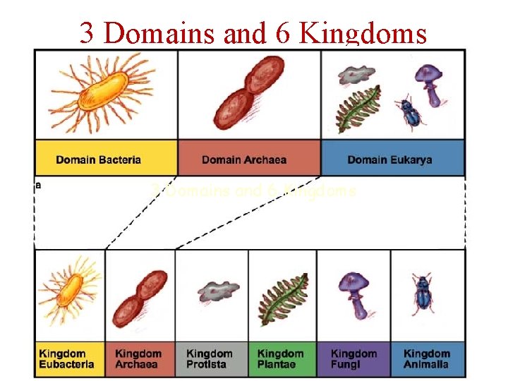 3 Domains and 6 Kingdoms 