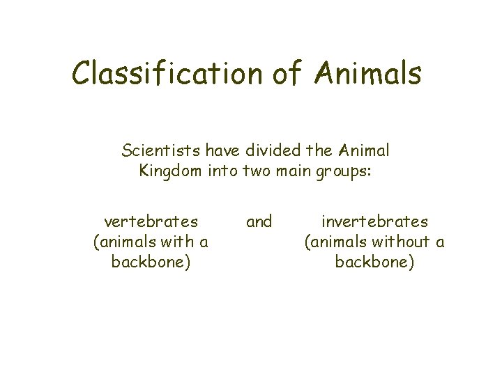 Classification of Animals Scientists have divided the Animal Kingdom into two main groups: vertebrates
