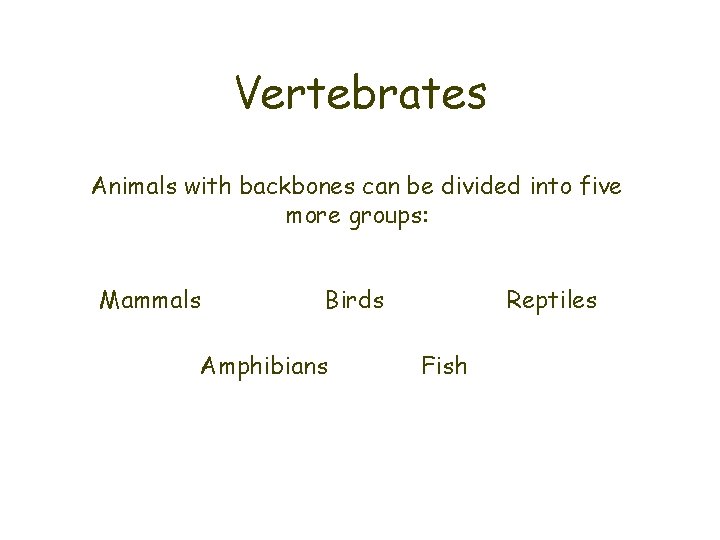 Vertebrates Animals with backbones can be divided into five more groups: Mammals Birds Amphibians