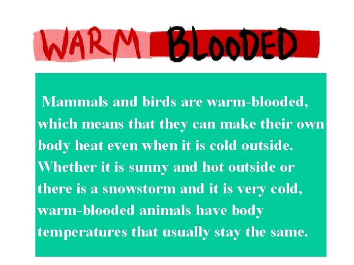  Mammals and birds are warm-blooded, which means that they can make their own