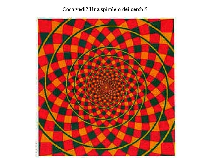 Cosa vedi? Una spirale o dei cerchi? 