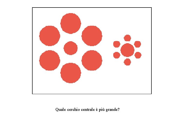 Quale cerchio centrale è più grande? 