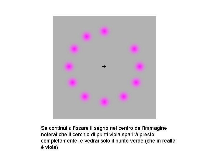 Se continui a fissare il segno nel centro dell’immagine noterai che il cerchio di