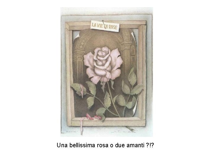 Una bellissima rosa o due amanti ? !? 