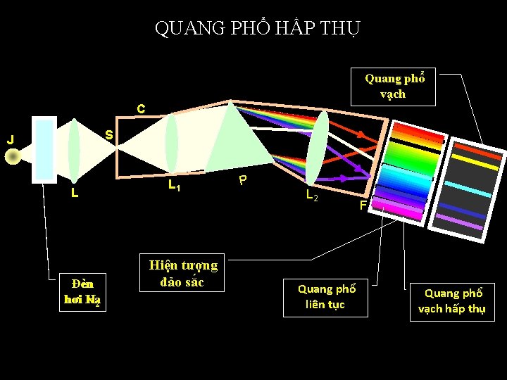 QUANG PHỔ HẤP THỤ Quang phổ vạch C S J L Đèn hơi Na