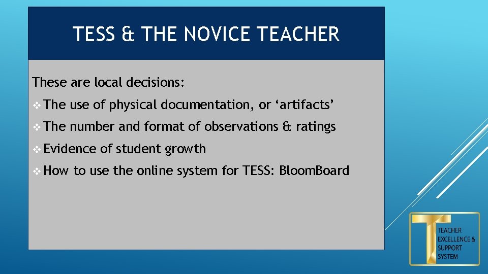 TESS & THE NOVICE TEACHER These are local decisions: v The use of physical