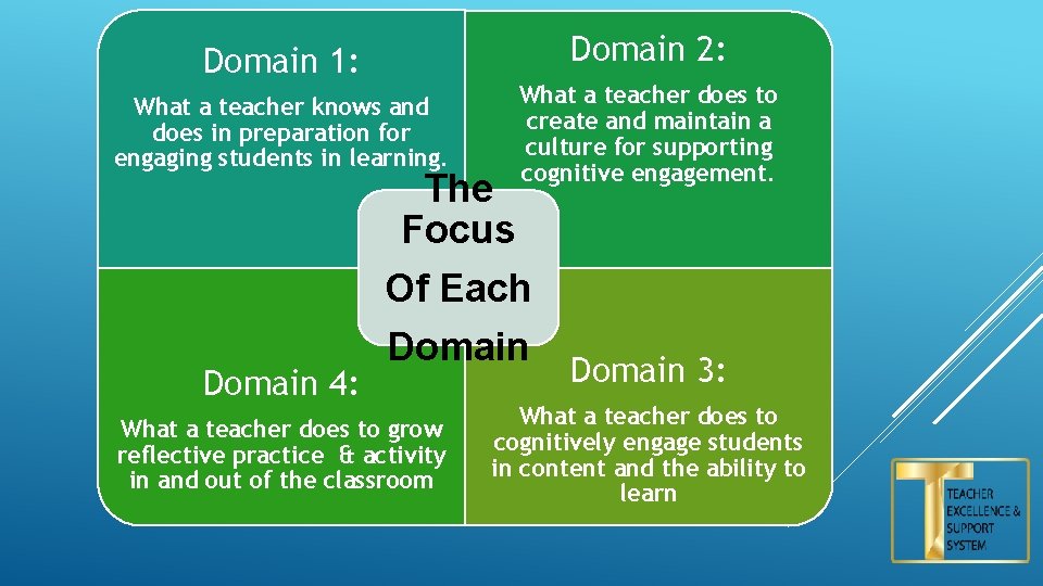 Domain 1: Domain 2: What a teacher knows and does in preparation for engaging
