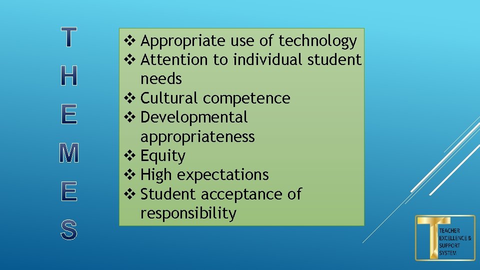 v Appropriate use of technology v Attention to individual student needs v Cultural competence