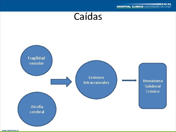 Caídas Fragilidad vascular Lesiones Intracraneales Atrofia cerebral Hematoma Subdural Crónico 