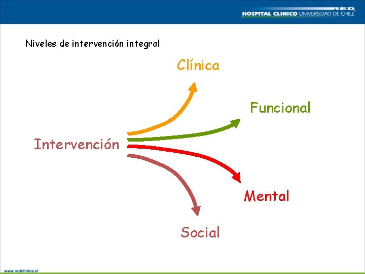 Niveles de intervención integral Clínica Funcional Intervención Mental Social 
