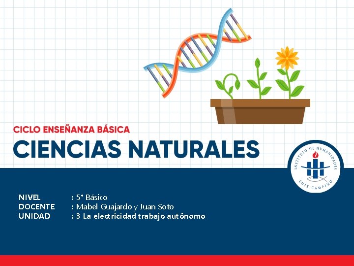 NIVEL DOCENTE UNIDAD : 5° Básico : Mabel Guajardo y Juan Soto : 3