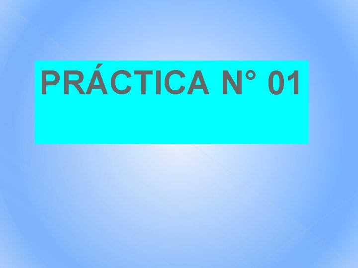 PRÁCTICA N° 01 PRÁCTICA N° 01