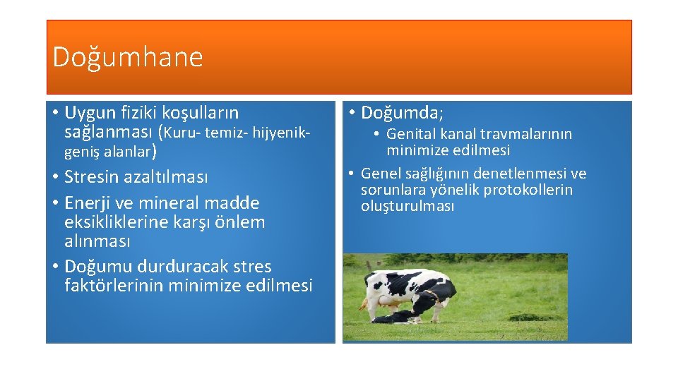 Doğumhane • Uygun fiziki koşulların sağlanması (Kuru- temiz- hijyenikgeniş alanlar) • Stresin azaltılması •