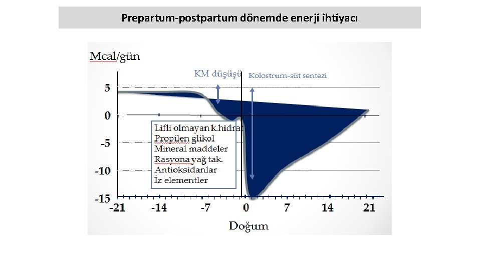 Prepartum-postpartum dönemde enerji ihtiyacı 