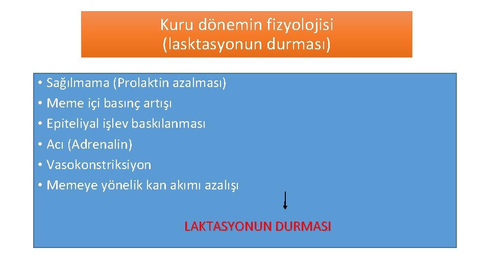 Kuru dönemin fizyolojisi (lasktasyonun durması) • Sağılmama (Prolaktin azalması) • Meme içi basınç artışı