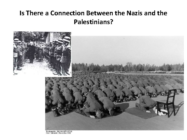 Is There a Connection Between the Nazis and the Palestinians? 