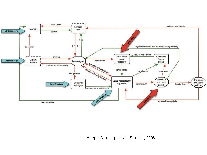 Hoegh-Guldberg, et al. Science, 2008 